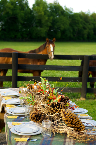Ashview Farm, owned by Mr. and Mrs. Wayne G. Lyster III, is a 350 acre thoroughbred horse farm located in Versailles, KY. The farm donated its beautiful land for this Junior League cookbook table top setting.