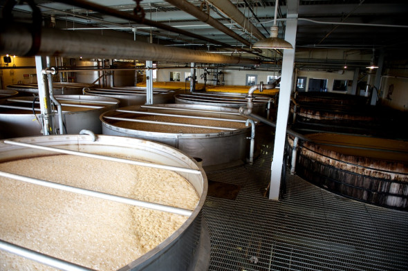 Taking the photo of these fermenters was actually quite hard. I am proud how this guy turned out, knowing I nearly fell taking the photo.