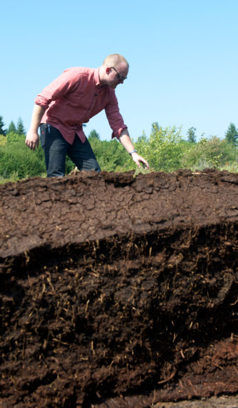 The Westland peat bog.