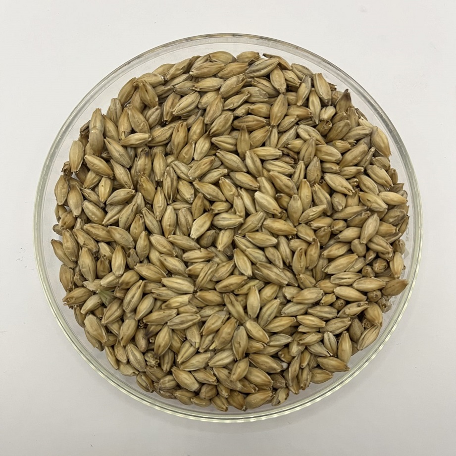 Riverbend Malt House Speakeasy malt in bowl