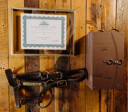 CASA of Lexington bridle