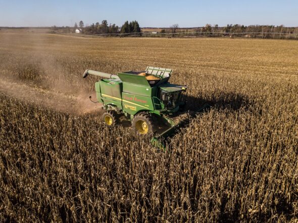 Corn Harvest-DRONE 01