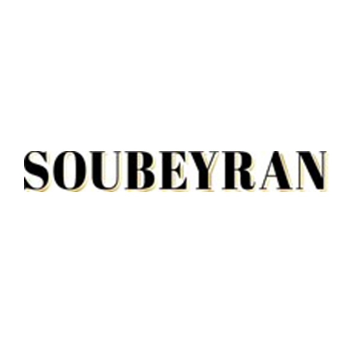 Soubeyran logo SQUARE