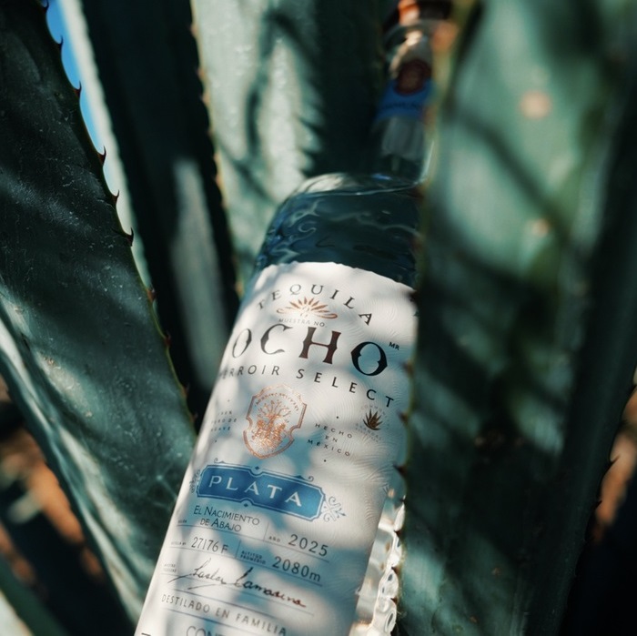 Tequila Ocho Terroir Select Comunidad bottle in agave plants