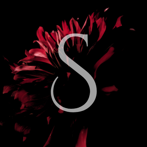 Sailor Guevara logo Sirens Spirits Group